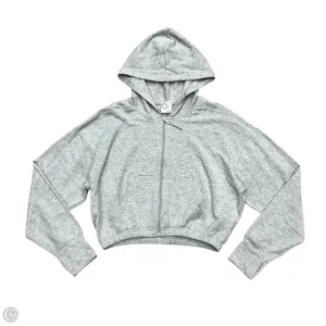 TumbleDry Safe OdorResistantClothing Sweatshirt Hoodie By Aerie In Grey, Size: M