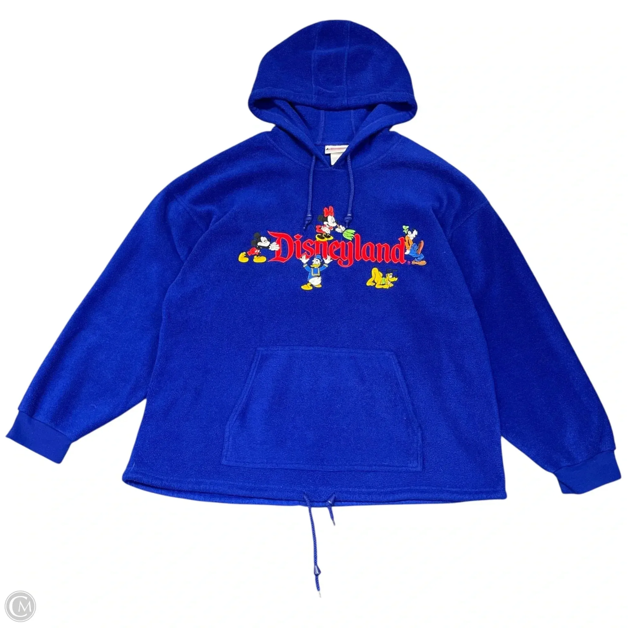 Sweatshirt Hoodie By Disney Store In Blue, Size: L Ice Fit