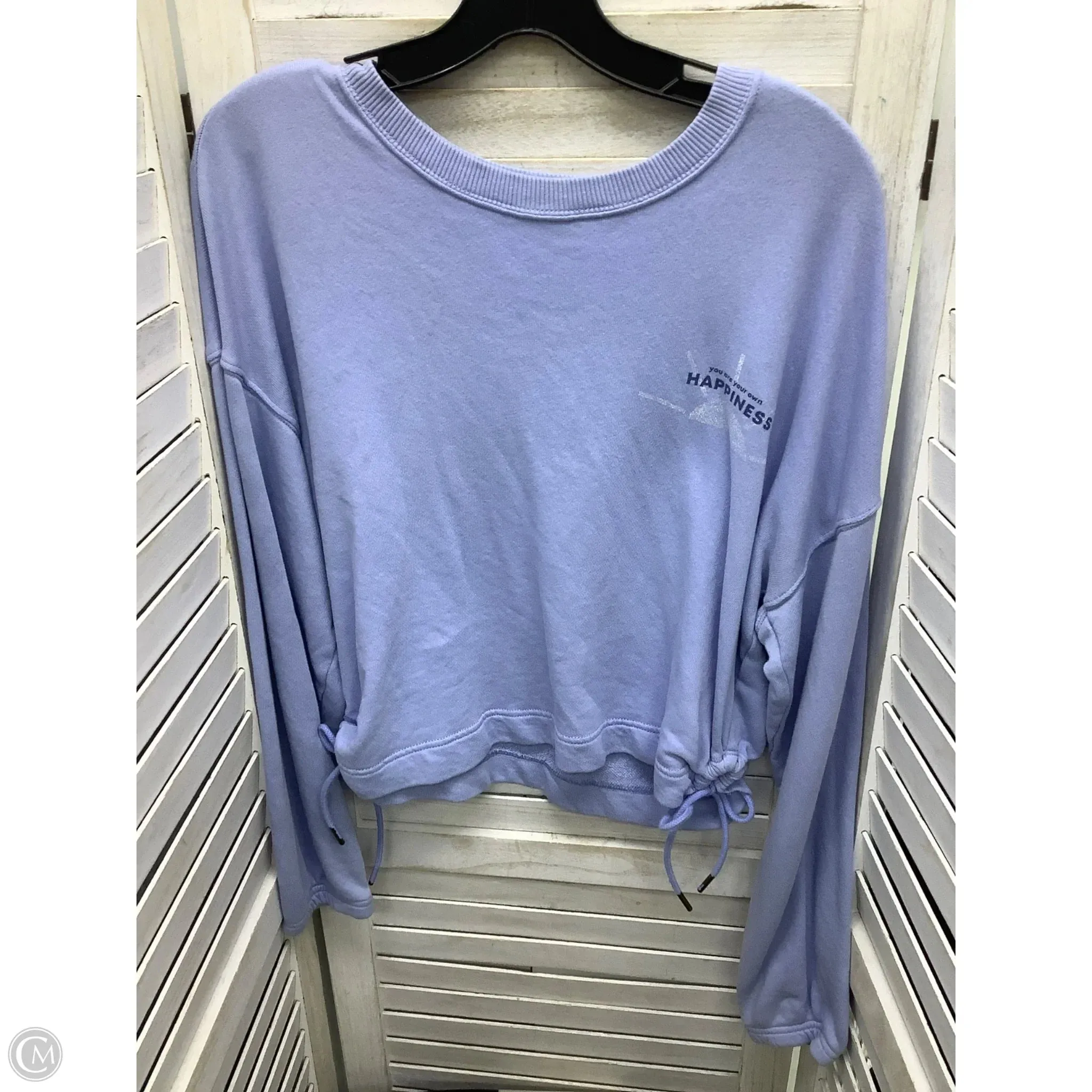 PreShrunk Cotton Sweatshirt Crewneck By Aerie In Light Blue, Size: S