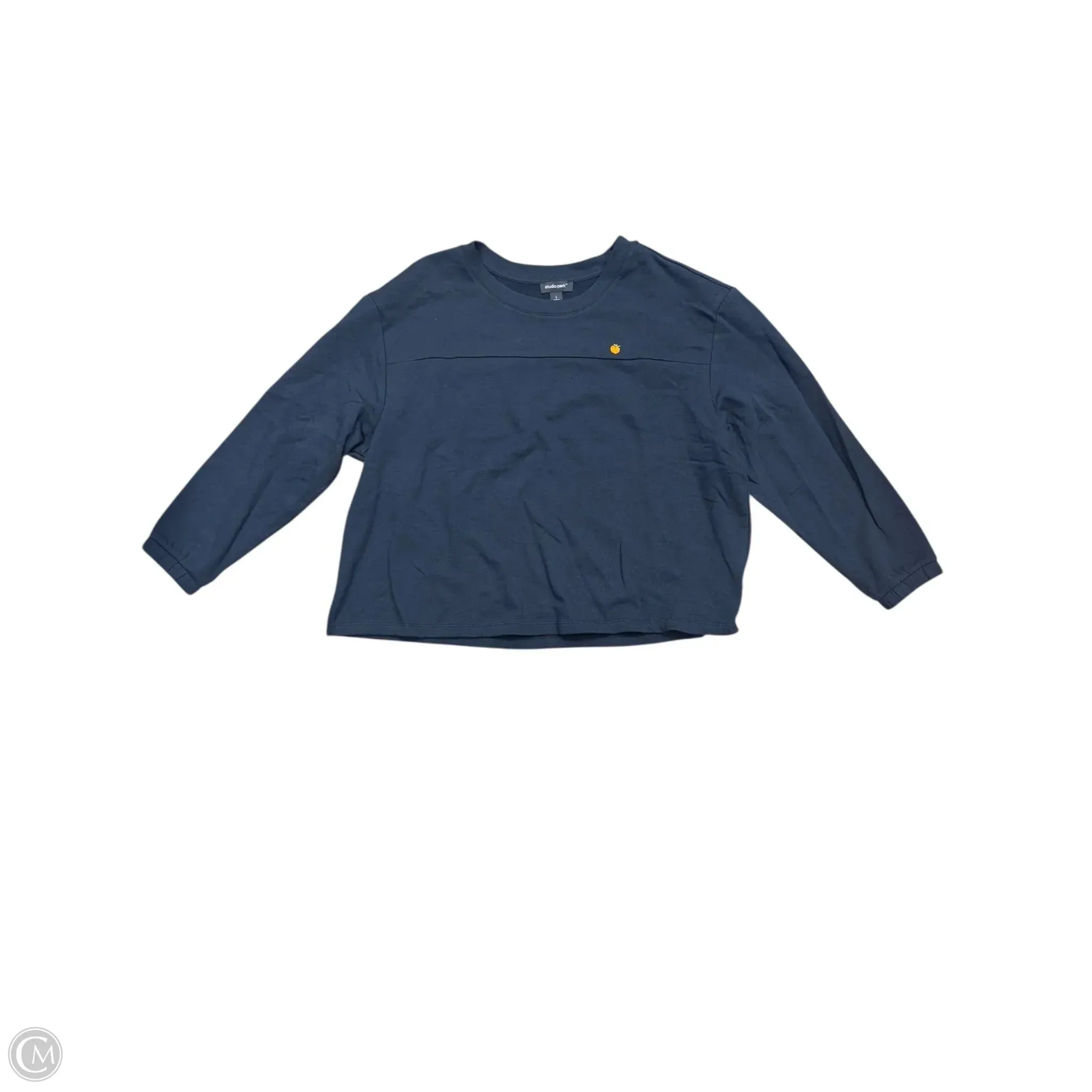SmoothZipper Chic Accessory Sweatshirt Crewneck By Clothes Mentor In Navy, Size: L