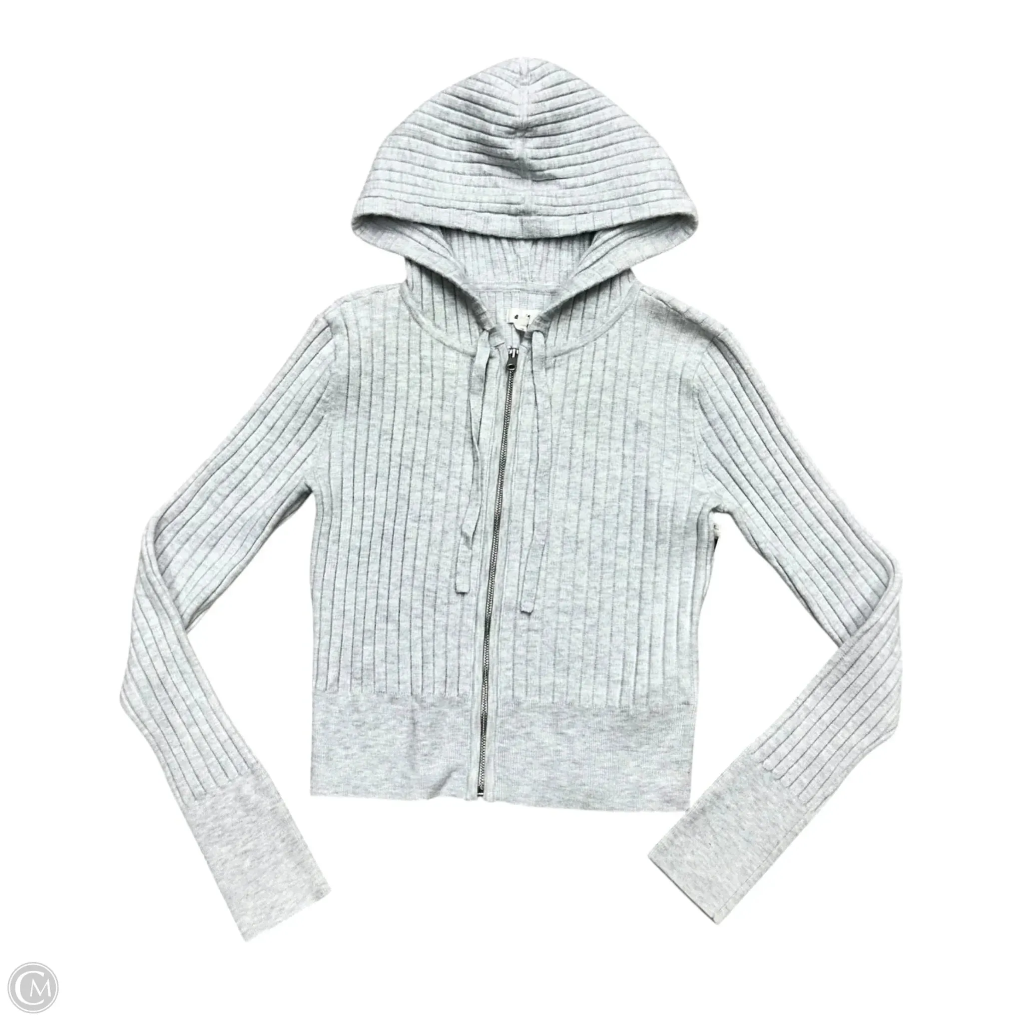 Sweatshirt Hoodie By Aerie In Grey, Size: M Trendy Design
