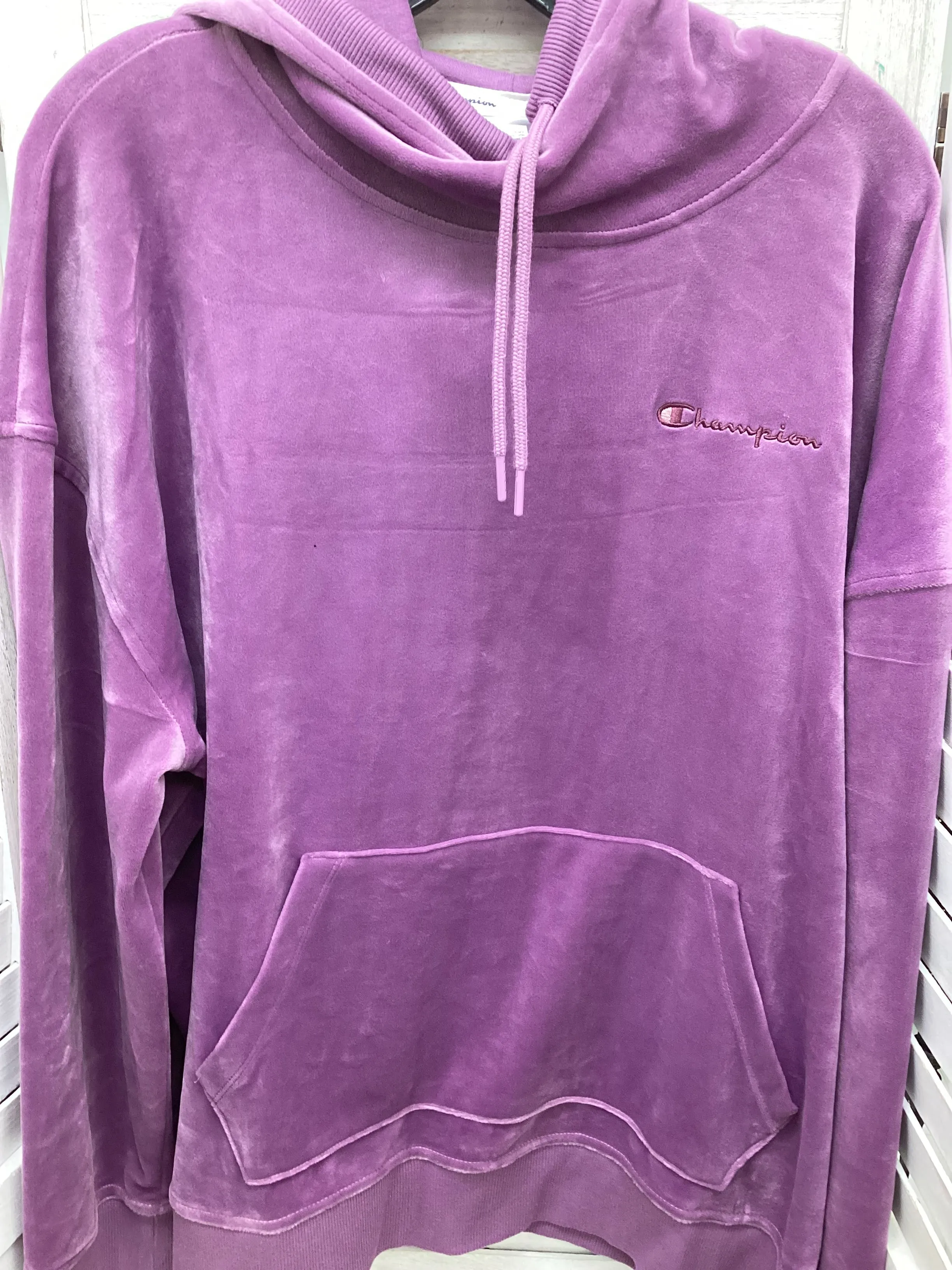 EcoFriendlyTextiles Sweatshirt Hoodie By Champion In Purple, Size: 2x