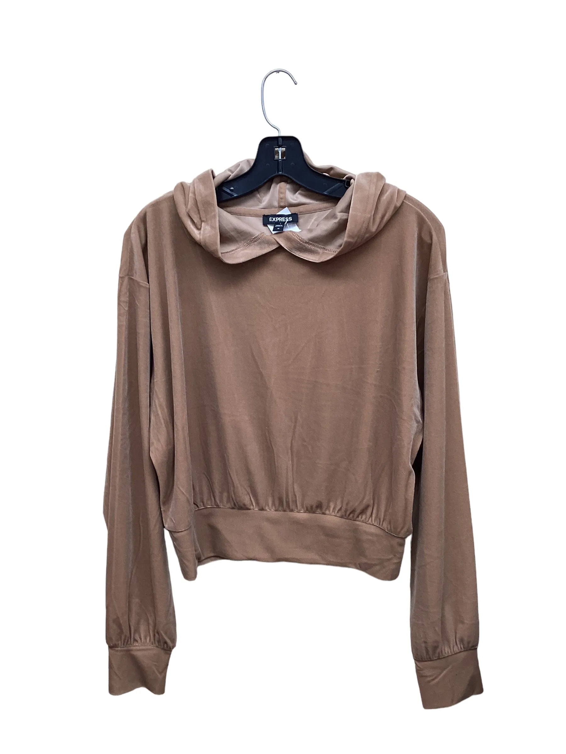 Sweatshirt Hoodie By Express In Brown, Size: M Soft Lining Camera Glow