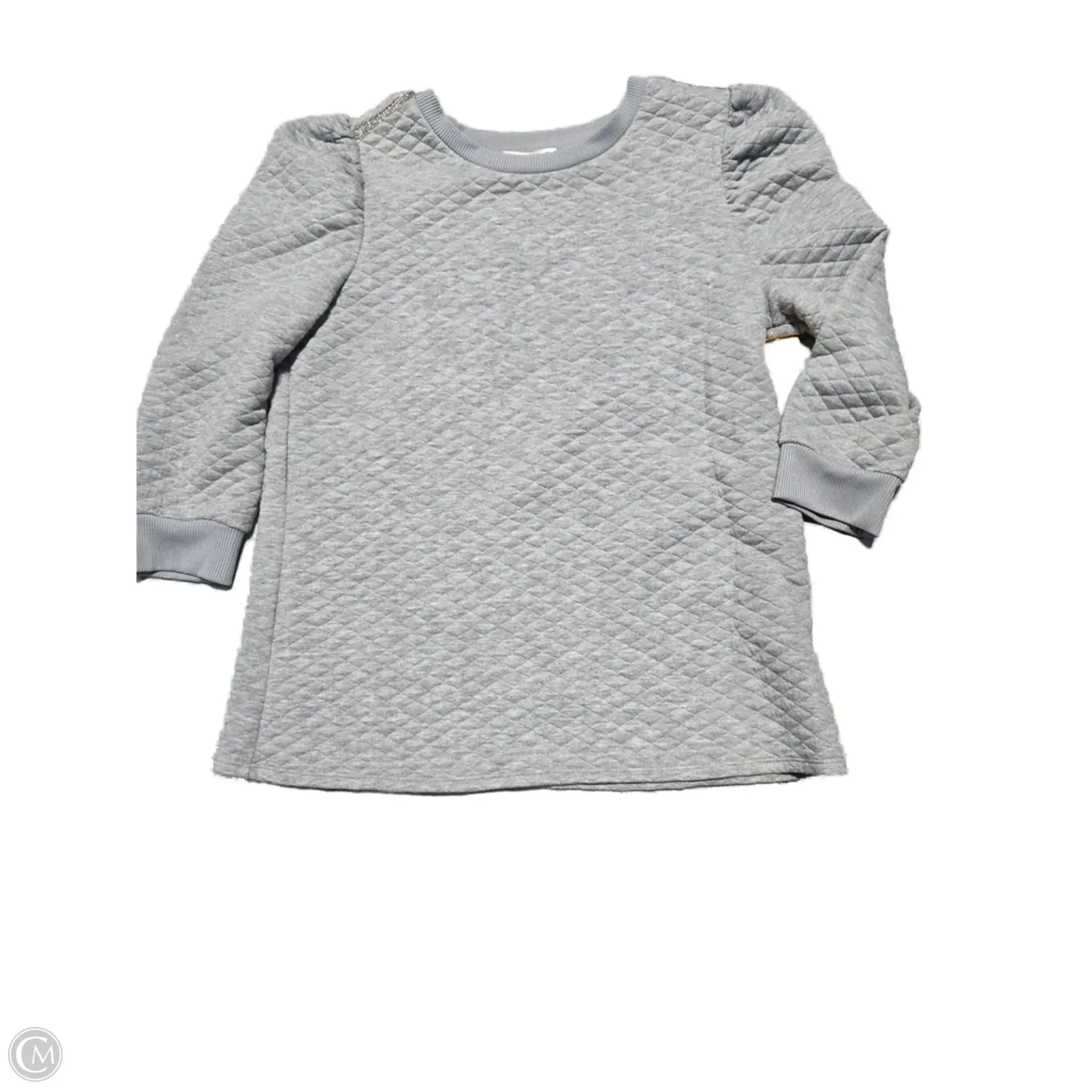 Practical Style Pearl Tone Sweatshirt Crewneck By Retrology In Grey, Size: M