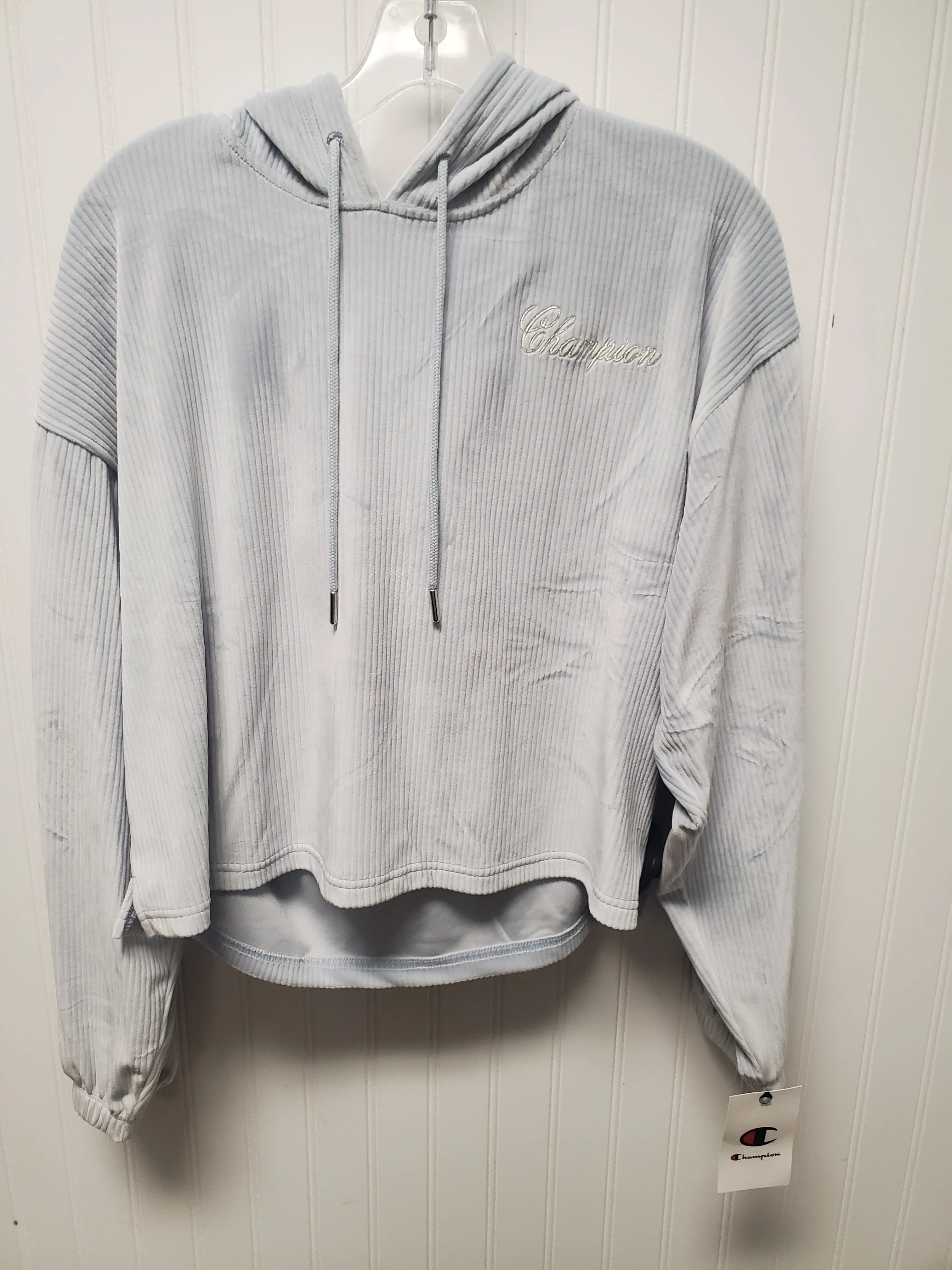 AllDayComfort FadeResistant Dye Sweatshirt Hoodie By Champion In Blue, Size: S