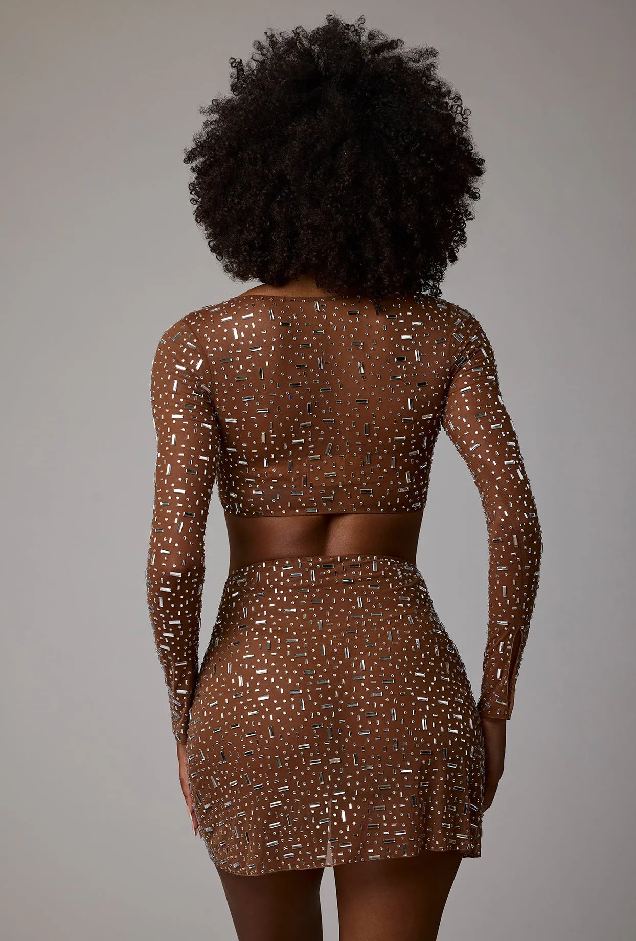 Sheer Embellished V Waist Mini Skirt in Mocha Art Gallery Visit