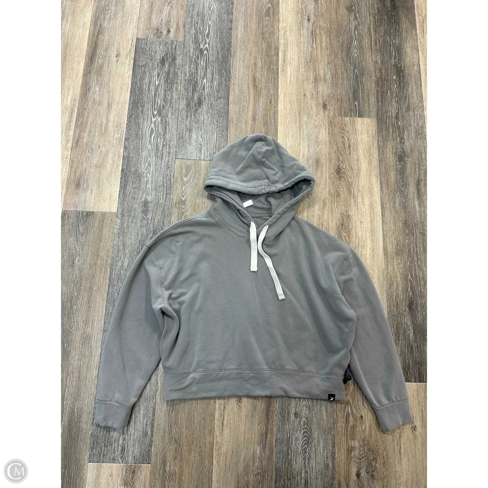 Modern Chic Virtual Mode Athletic Sweatshirt Hoodie By Glyder In Grey, Size: M