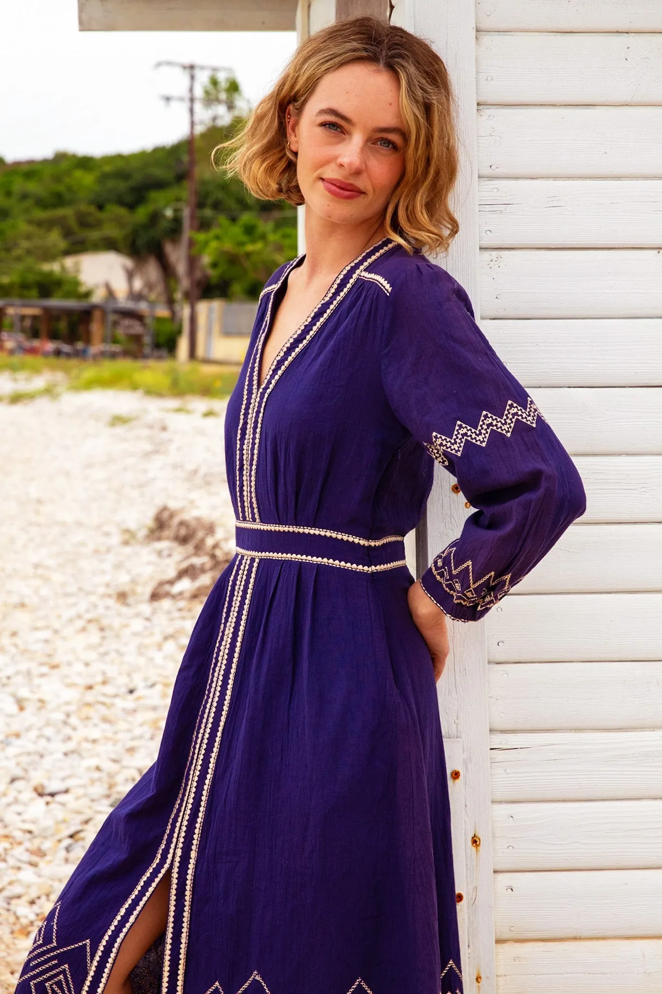 Garden Stroll Star Light Jamila Embroidered Dress | Navy/Gold