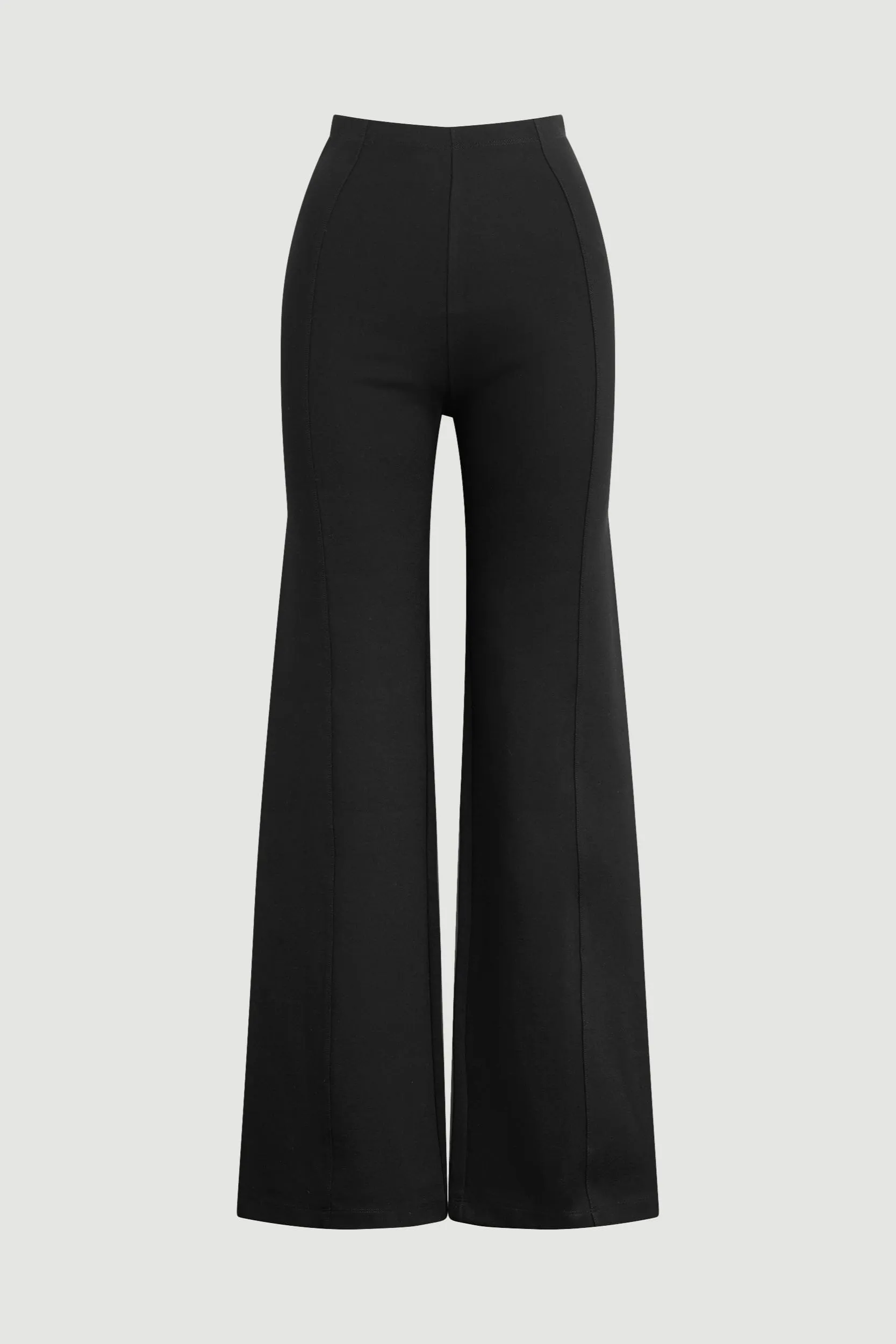 Anh Wide-Leg Ponte Stretch Pant (Petite) Functional Fashion